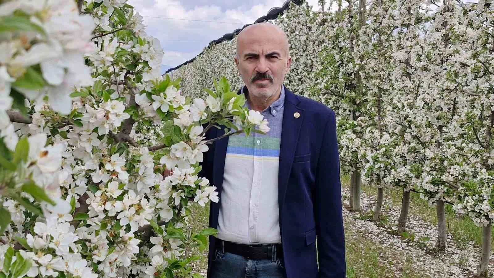 Karaman Elmasında Tarihi Rekor Kapıda: Bahçeler Beyaza Büründü