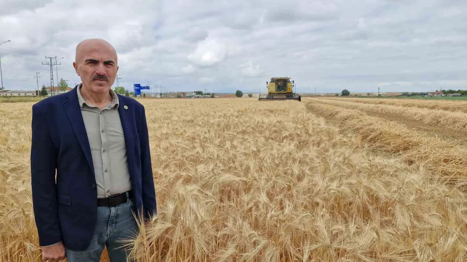 Karaman Ovası’nda Arpa Hasadı Başladı: Yağışlar Maliyeti Düşürdü, Çiftçinin Gözü Fiyatlarda