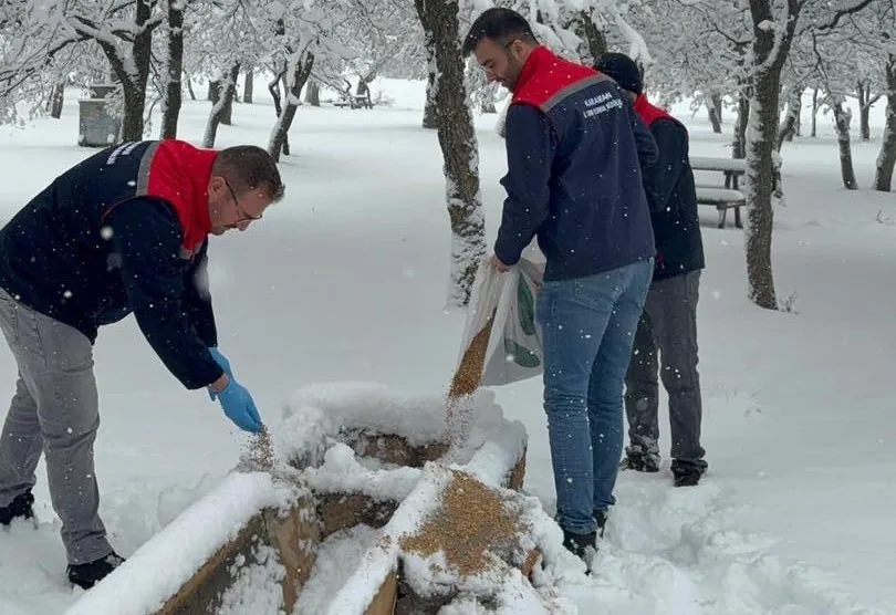 Kazımkarabekir’de Yaban Hayvanları İçin Doğaya Yem Bırakıldı