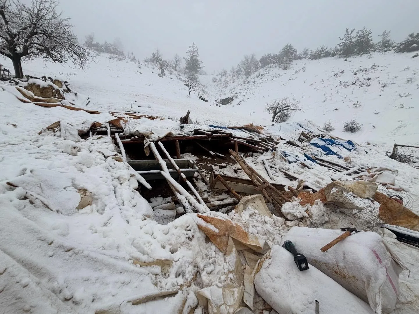 Başyayla’da Yoğun Kar Ahırın Çatısını Çökertti