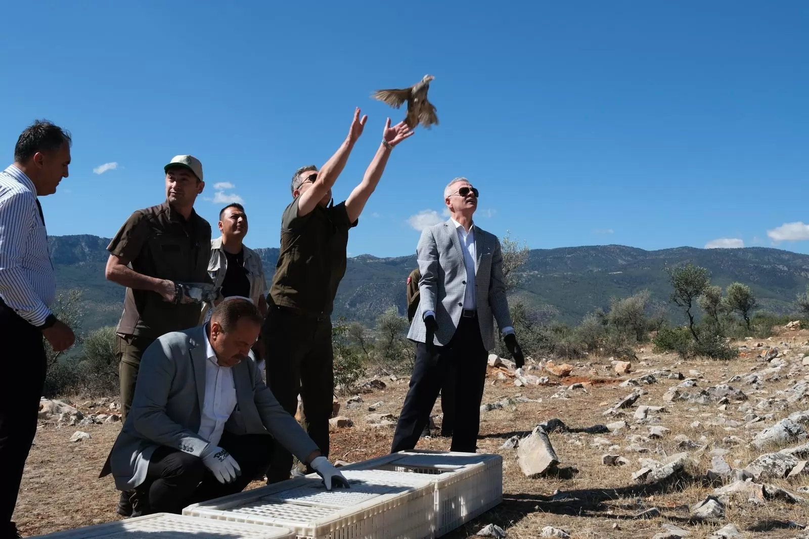 Karaman’da doğaya 500 kınalı keklik bırakıldı