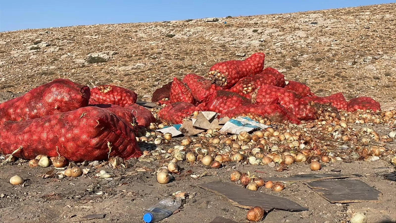 Karaman’da Tonlarca Kuru Soğan Boş Araziye Döküldü